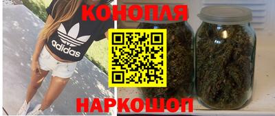 СК Краснодар