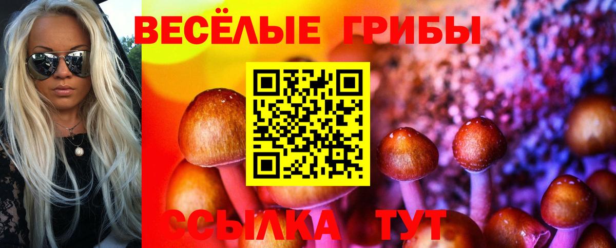Псилоцибиновые грибы мицелий  закладка  Вход с VPN  Ставрополь  Псилоцибиновые грибы мухоморы 